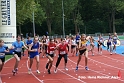 Z376 mg_final